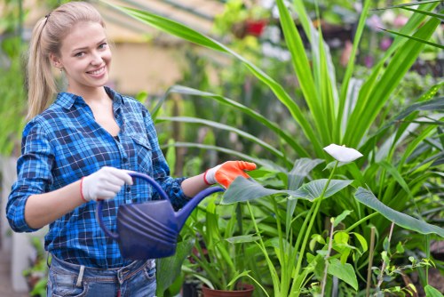 Person preparing garden photos for a free quote
