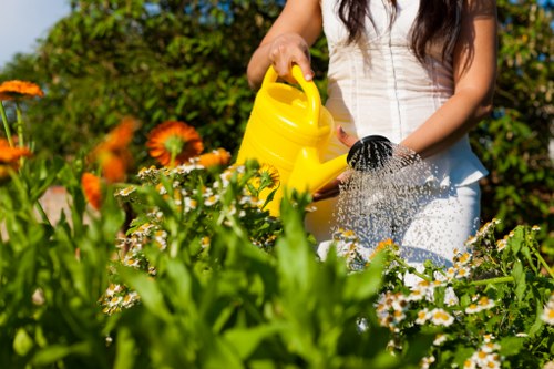 A woman in a white dress waters a vibrant garden with a yellow watering can, surrounded by a variety of flowering plants including orange and white daisy-like blooms and lush green foliage. The garden features a well-maintained lawn area with dense, evenly cut grass visible in the foreground, bordered by flower beds and bordered by a hedge line in the background. The scene is set outdoors on a sunny day, with bright natural light illuminating the garden's diverse plants and natural tones of green, yellow, orange, and white. The garden layout includes a paved pathway or patio area partially visible behind the plants, contributing to a neat and organized outdoor space typical of residential landscaping in the Seven Kings area. Lawn Mowing Seven Kings offers landscaping and lawn care services suited to maintaining such tidy, colorful gardens and outdoor environments.